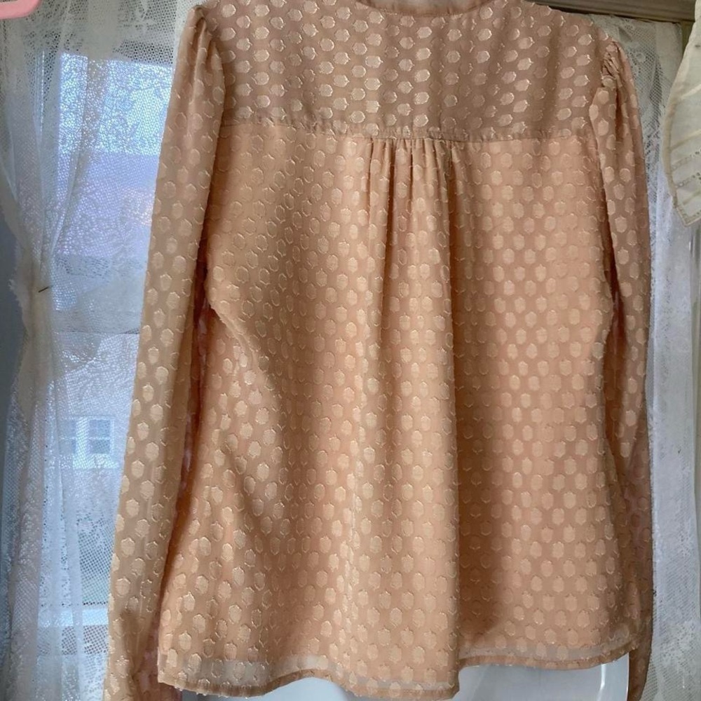 Rachel Parcell Peach silk texture tie Polkadot blouse with a touch of glamour S - Picture 4 of 4
